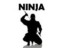 Ninja ninjitsu